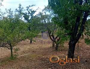 Odlicna kuca Banstol